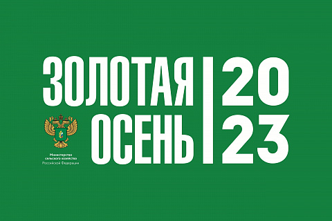 ВНИИМК принимает участие в выставке «Золотая осень – 2023»